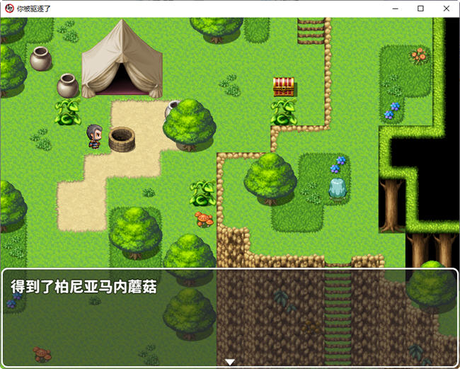 图片[2]-你被驱逐了 官方中文作弊版 PC+安卓 RPG游戏 1.2G-V次元